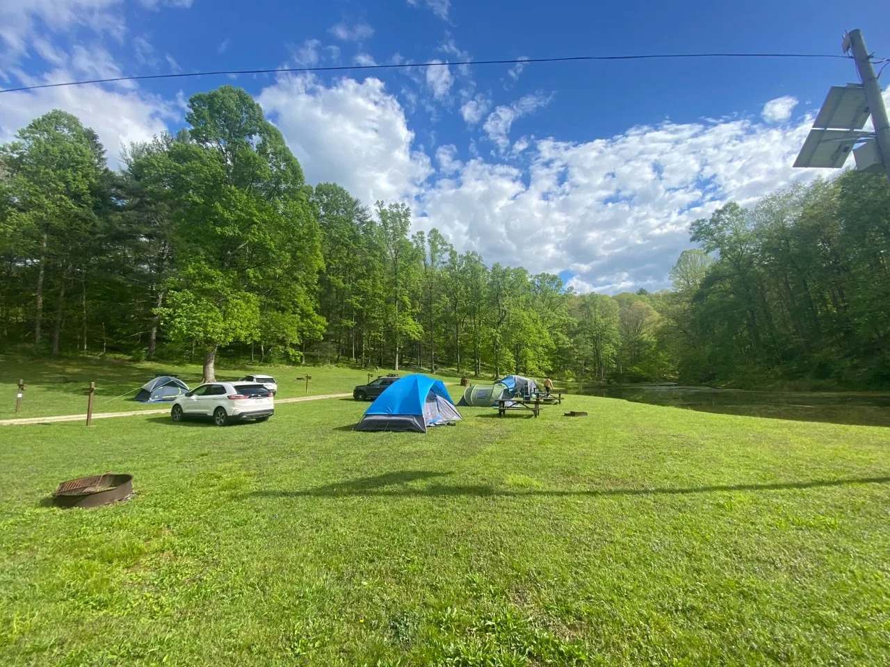 Family tents beside a pond at a green woodland campsite