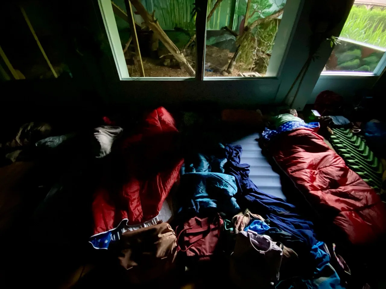 Sleeping bags arranged beside a zoo exhibit window