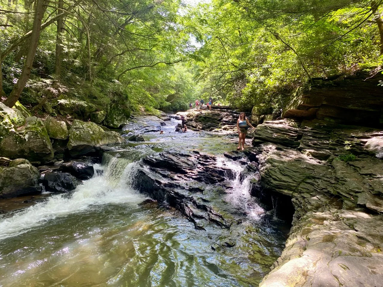 A wooded West Virginia stream flowing over layered rocks